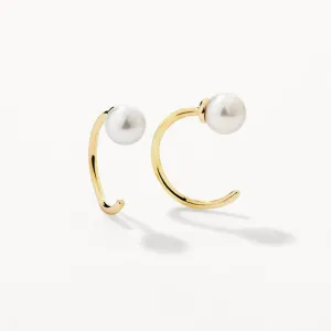 Freshwater Pearl June Birthstone Hook Earrings in 10k Gold