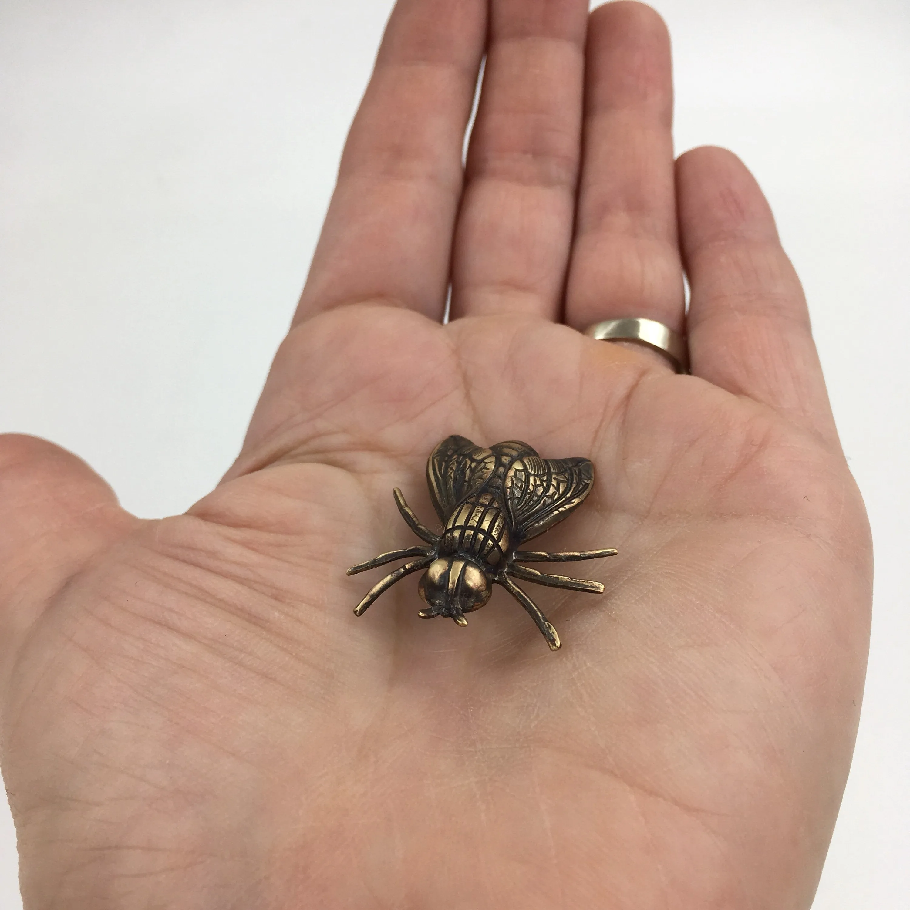 Large Brass Fly Insect Pin or Brooch