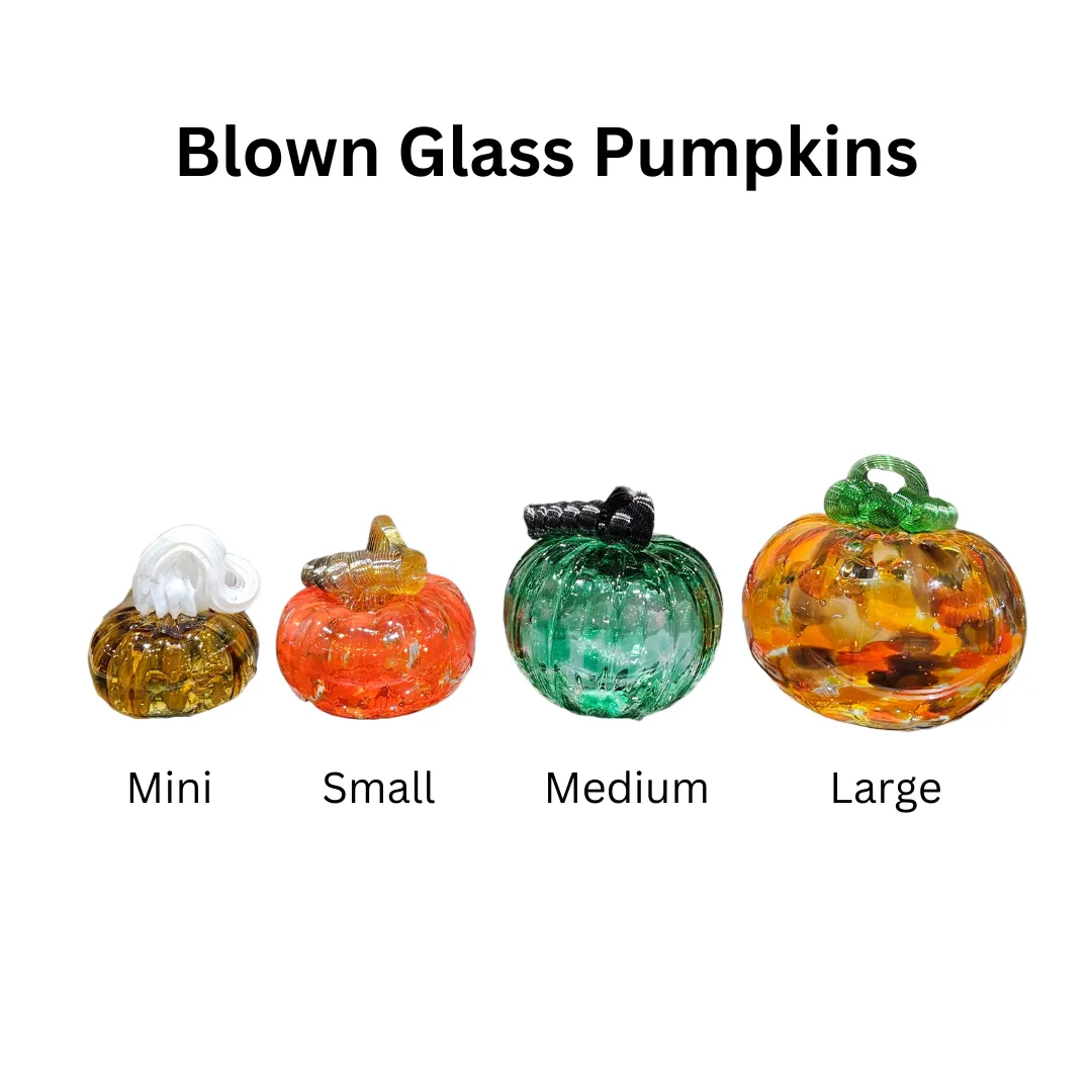 Small Blown Pumpkin