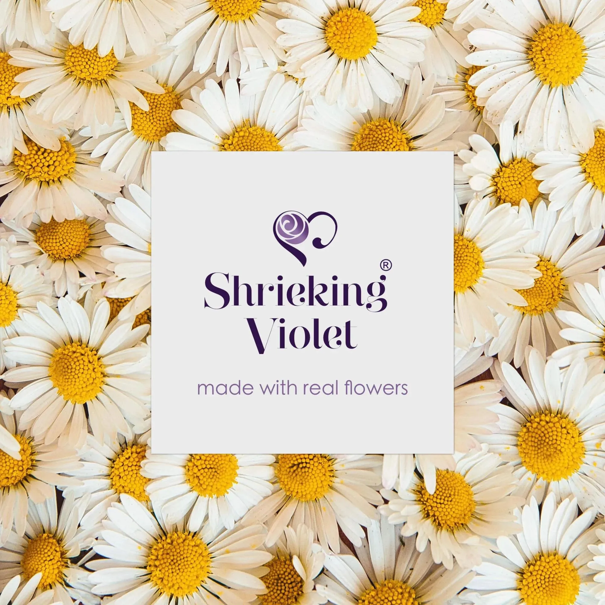 Sterling Silver Daisy Brooch | Real Flower Jewelry by Shrieking Violet®