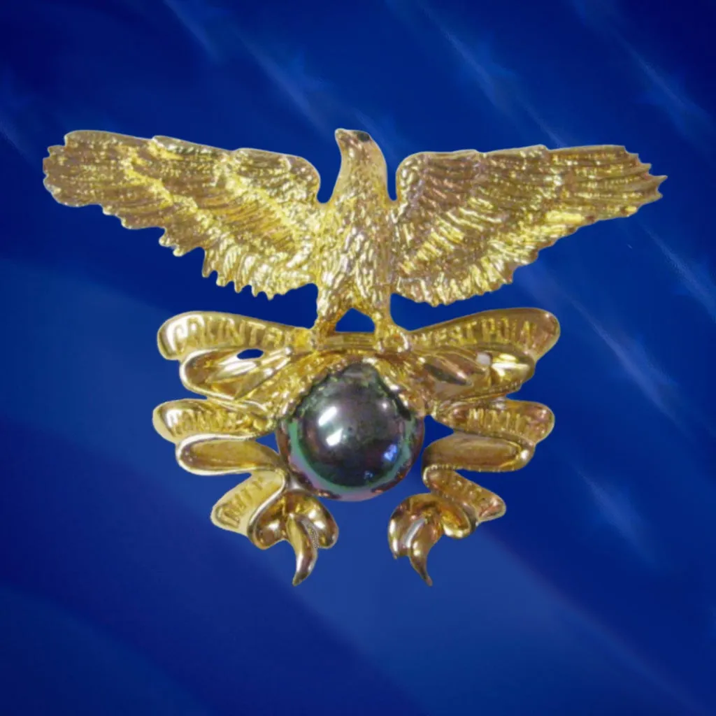 West Point  Eagle Pin